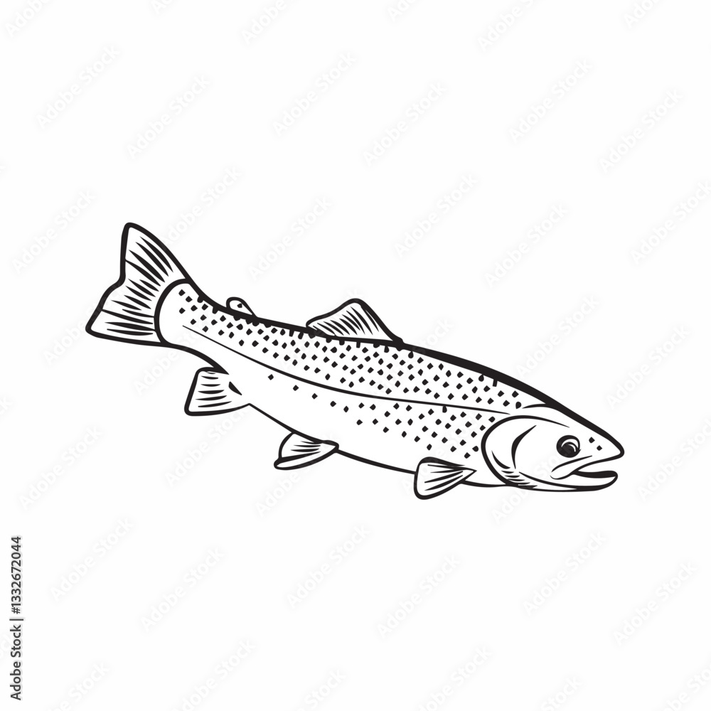 Naklejka premium Trout Illustration: A detailed black and white line illustration of a trout, capturing its streamlined body and distinct markings, perfect for showcasing aquatic life.