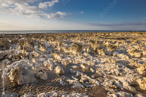 Kreidefelsen bei Mers-Les-Bains and der alabasteküste in der Normandie