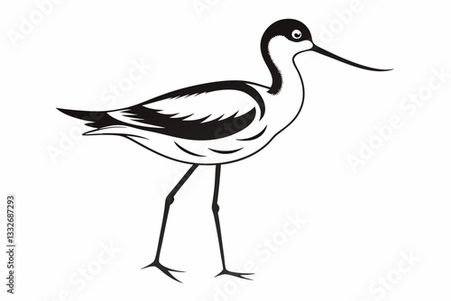 avocet line art silhouette vector illustration