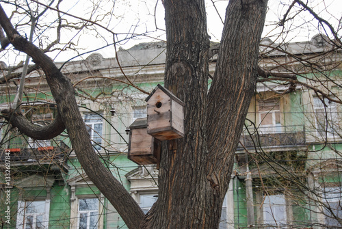Obraz na płótnie Birdhouses on a tree