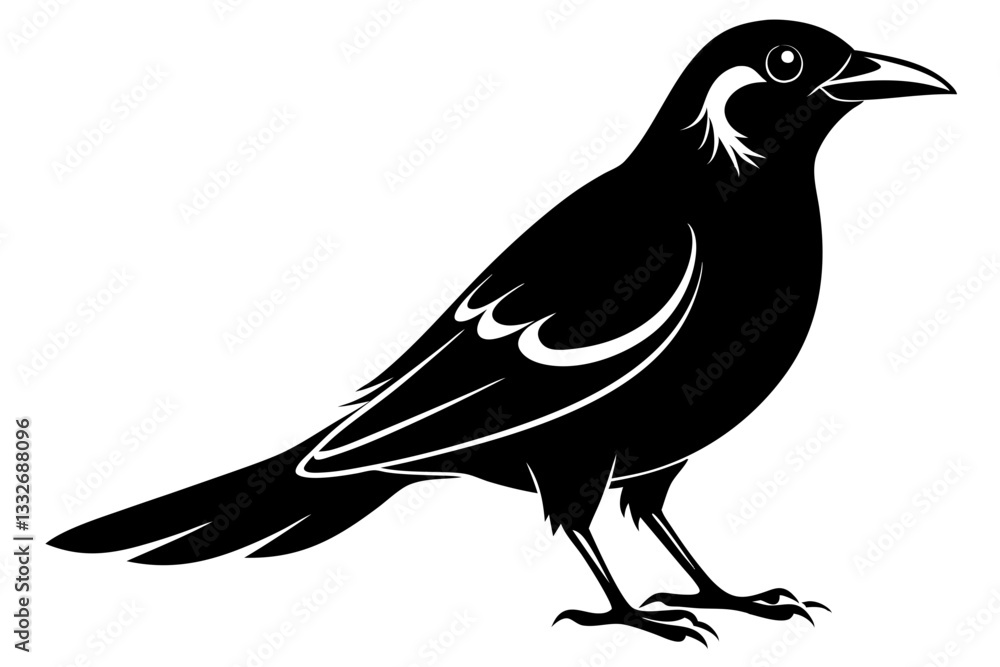 Obraz premium bowerbird line art silhouette vector illustration
