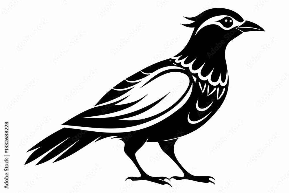 Fototapeta premium bowerbird line art silhouette vector illustration