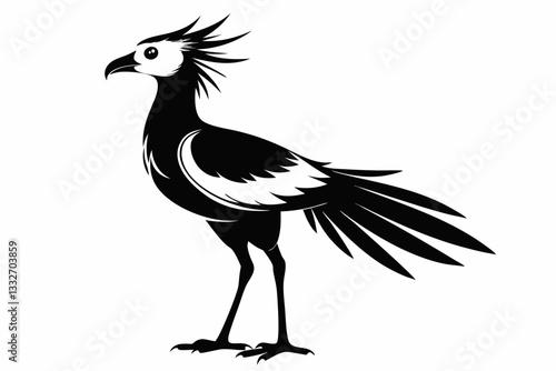 secretary bird line art silhouette vector illustration