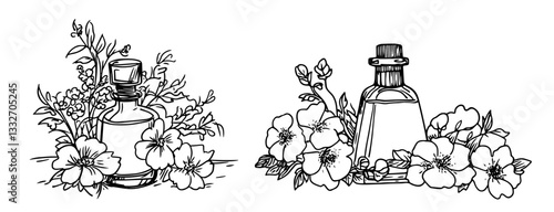 essential oil bottles with flowers and herbs, doodle vector black sketch