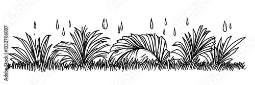 rain falling on grass and plants, hand drawn vintage engraving
