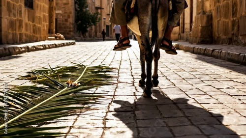 Wallpaper Mural man riding donkey street of old city, sandals almost touching ground, camera follows man, low angle footage , palm branch lying road, warm sunlight of early morning palm Sunday and easter background Torontodigital.ca