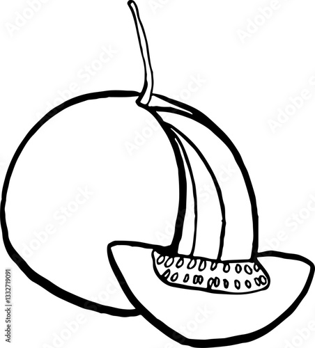 Ash gourd. Vegetables. Hand drawn vector isolated sketch.