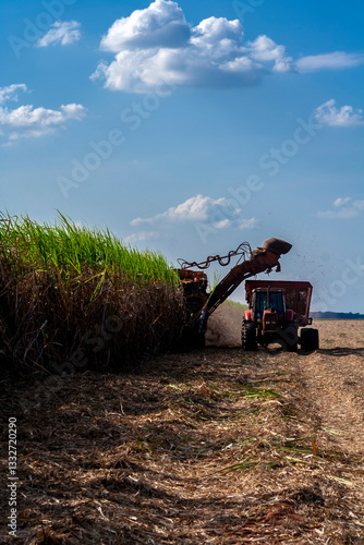 Obraz na płótnie Harvesting machine working in sugar cane field in Brazil w salonie