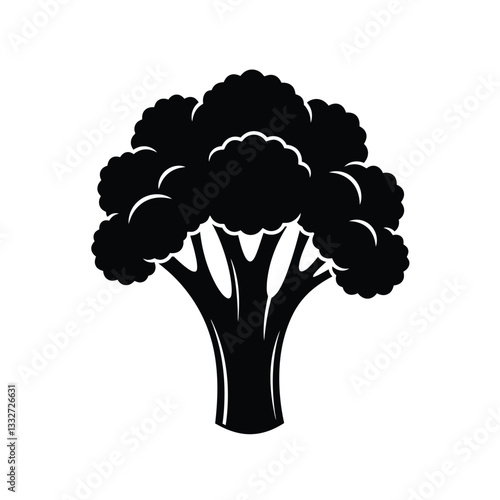 cauliflower isolated on white