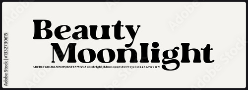 Regular classy, elegant serif vector font. Alphabet with Uppercase, lowercase, and number. groovy and retro display font.