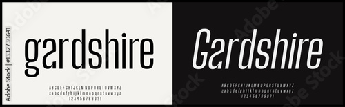 condensed sans serif vector font. Simple, modern, and minimalist typography. Alphabet with uppercase, lowercase and number, regular and italic style.