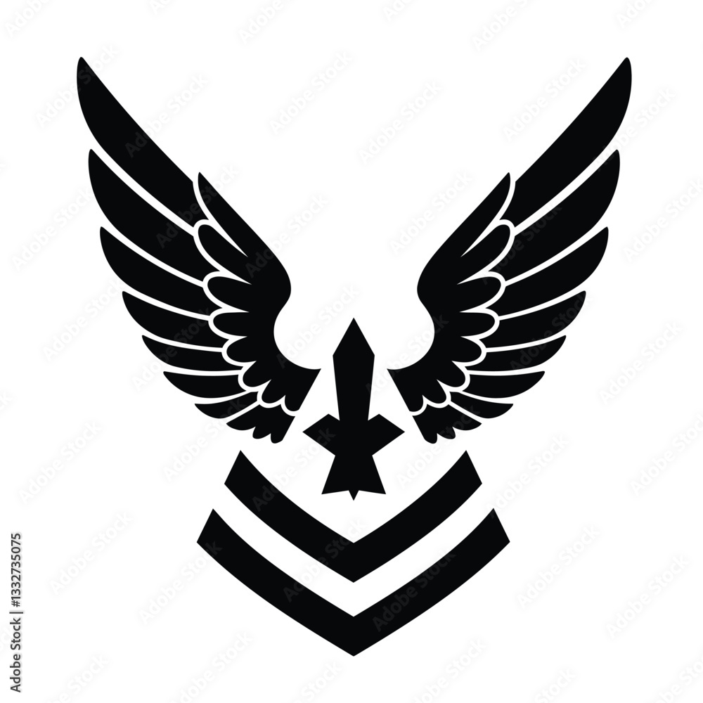 Obraz premium eagle with wings