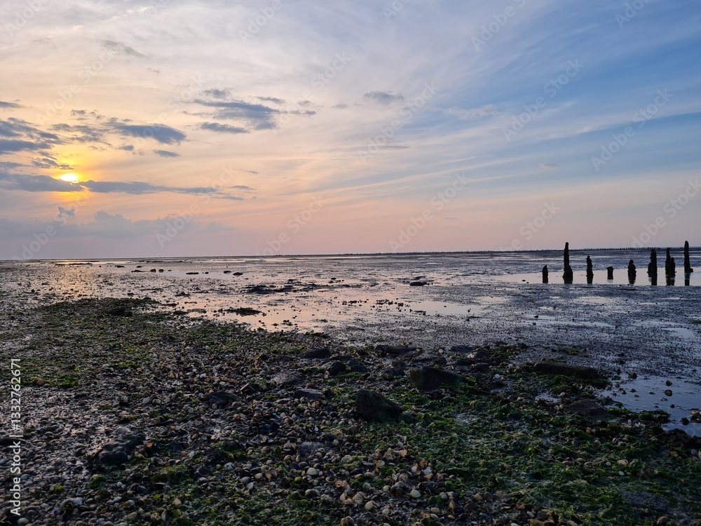 Fototapeta premium sunset on the Waddenzee
