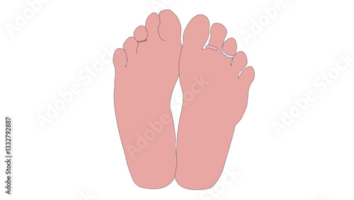 Illustration of bare feet soles