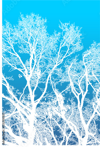 árbol, cielo, naturaleza, silueta, sucursal, de invierno, atardecer, árbol, bosque, calvos, paisaje