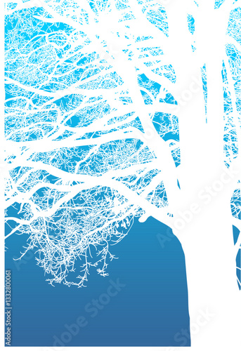árbol, cielo, naturaleza, silueta, sucursal, de invierno, atardecer, árbol, bosque, calvos, paisaje