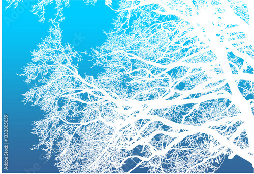 árbol, cielo, naturaleza, silueta, sucursal, de invierno, atardecer, árbol, bosque, calvos, paisaje