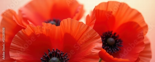 Wallpaper Mural Vibrant red poppy flowers bloom, showcasing delicate petals and contrasting dark centers, perfect for nature-themed projects or floral designs. Torontodigital.ca