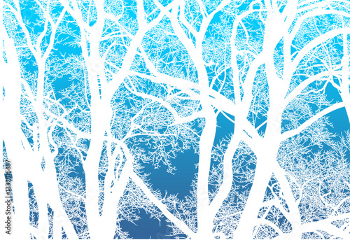 árbol, cielo, naturaleza, silueta, sucursal, de invierno, atardecer, árbol, bosque, calvos, paisaje