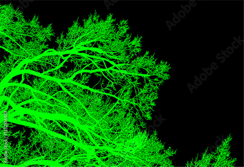 árbol, cielo, naturaleza, silueta, sucursal, de invierno, atardecer, árbol, bosque, calvos, paisaje