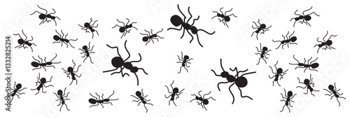 Set of ants trail, working ants, Black Ant Silhouettes symbol. Vector Illustration.