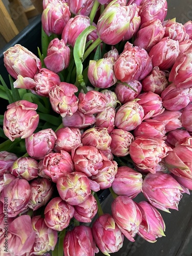 Beautiful pink tulips in a vase