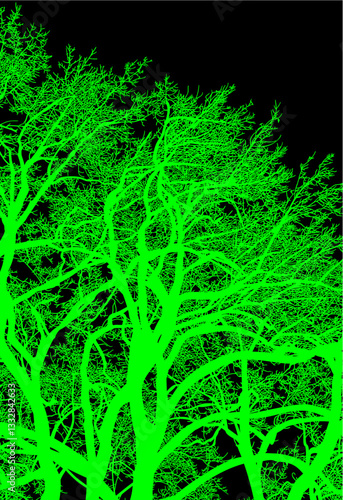 árbol, atardecer, paisaje, silueta, naturaleza, cielo, amanecer, sol, ilustración, vector, árbol, bosque