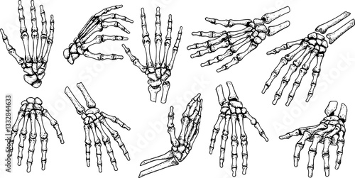 Graphic detailed black and white human skeleton bone hands. Isolated on white background. Vector icon set.

