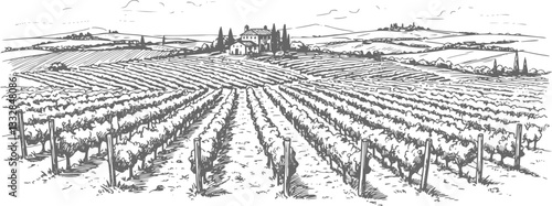 Hand draw vineyard tuscany landscape farm field in monochrome sketch style. Vintage panoramic vector illustration.
