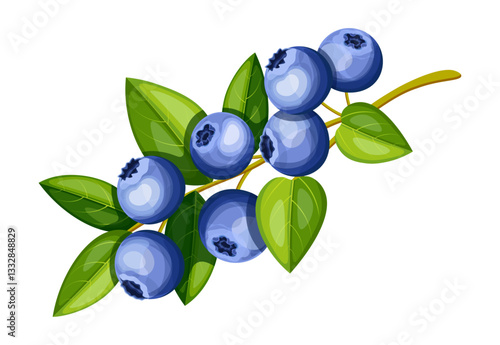 A branch of healthy, juicy blueberries in a cartoon style. Vector illustration of fresh blueberries with green leaves on a branch isolated on a white background.