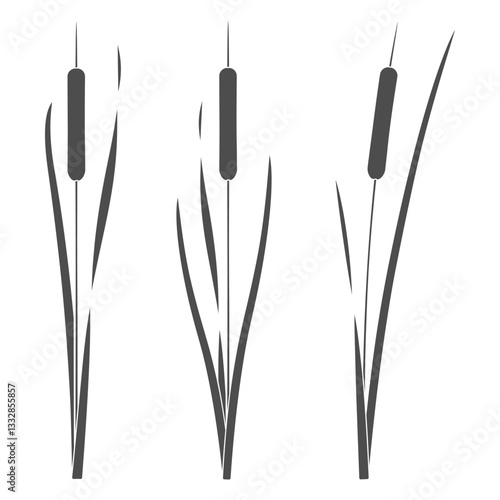 Set of black and white illustrations with cattails, reeds. Isolated vector objects on white background.