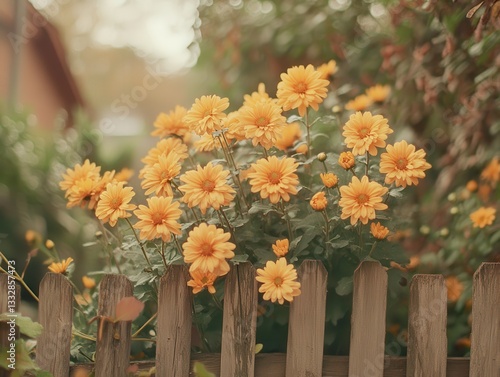 Vibrant yellow flowers blooming on a rustic wooden fence in a garden setting surrounded by lush greenery and soft autumn light during a peaceful afternoon