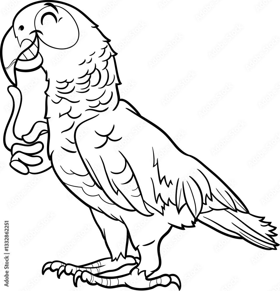 Fototapeta premium grey parrot bird animal character cartoon illustration coloring page