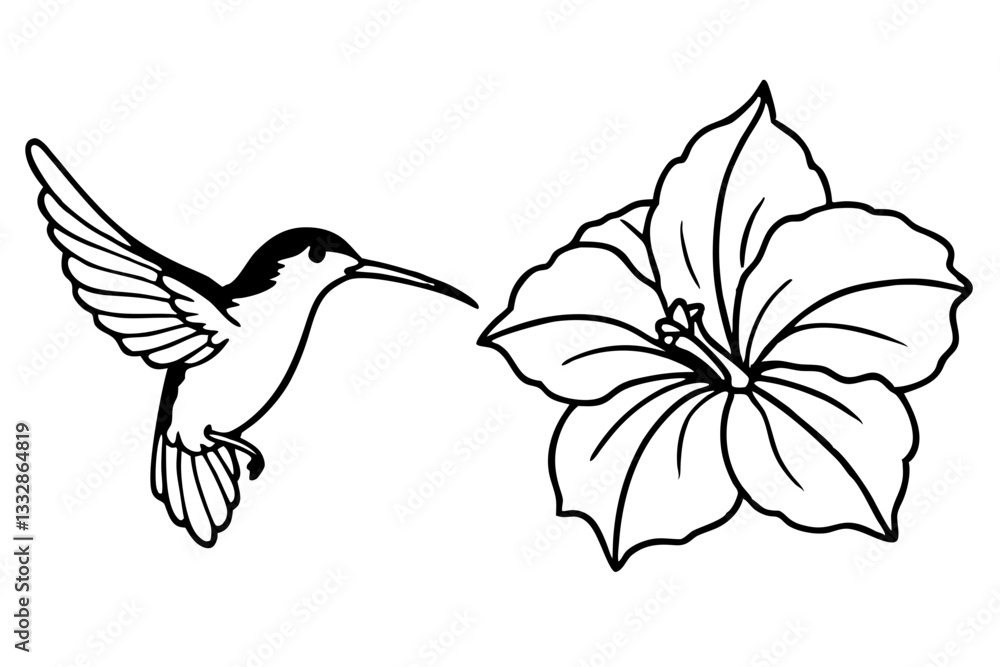 Obraz premium hummingbird and hibiscus line art silhouette vector illustration