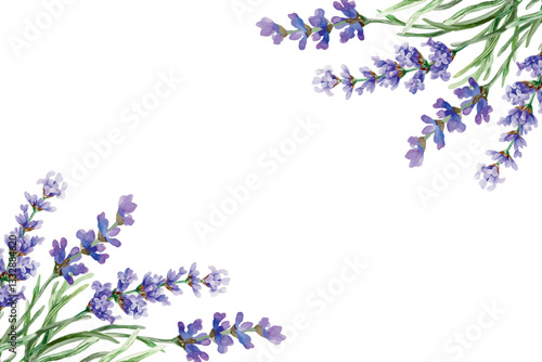 Frame with lavender flowers in the corners, watercolor. Hand drawn vector illustration. For the design of greeting cards, invitations, labels, banners, posters.