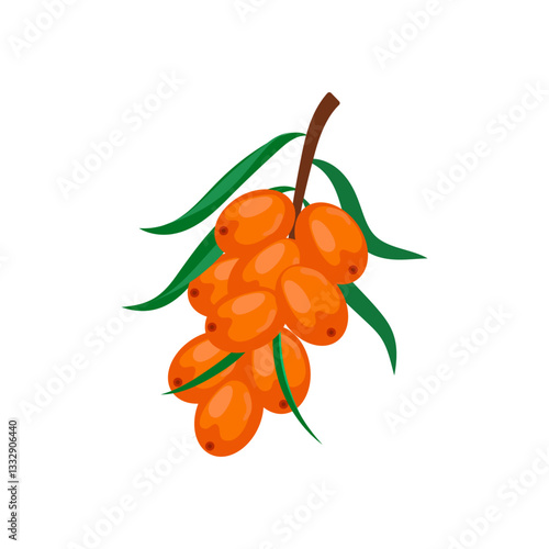 Sea buckthorn