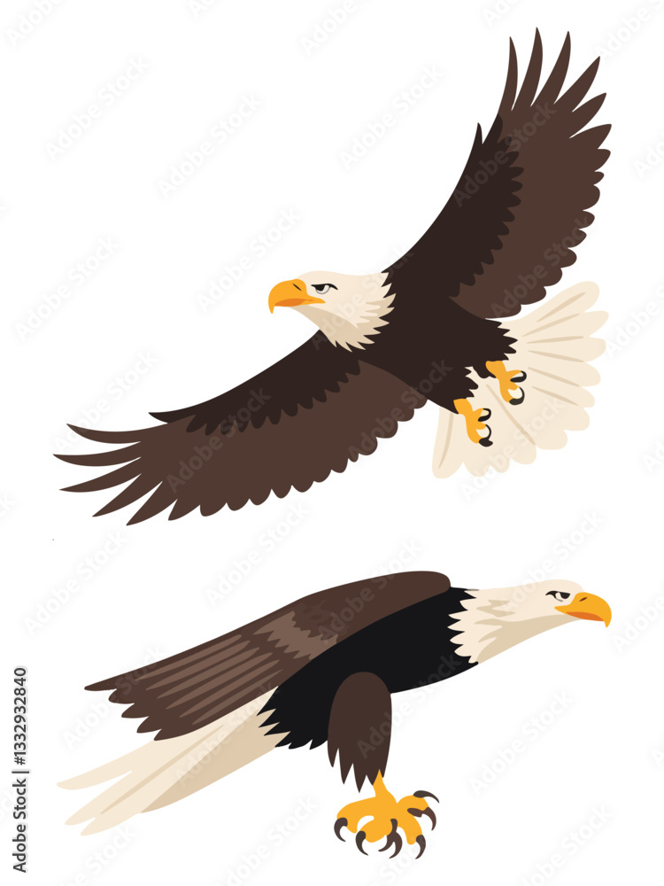 Obraz premium Eagle Birds Set Flying and Sitting Bald Eagles
