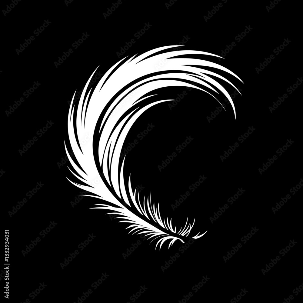 Fototapeta premium A highly stylized, graphic focusing on feather details