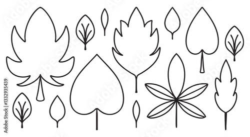 Set Doodle Leaves. Contour different forms of Botany. Linear coloring of Plants. Collection of symmetrical elements of Trees, oak, chestnut. Minimalistic outline of Foliage icon. Vector illustration