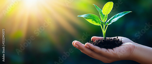 hand gently holds young plant sprout with vibrant green leaves against sunny background, symbolizing growth and nurturing