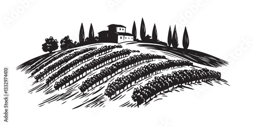 Vineyard landscape sketch