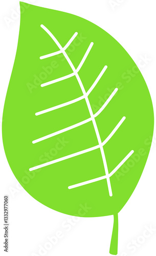 green leaf isolated on white