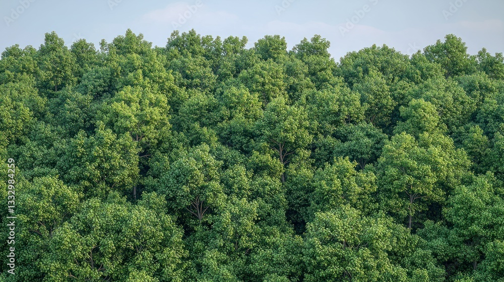 Lush, vibrant green treetop canopy fills the frame against a pastel blue sky backdrop Lush, vibrant green treetop canopy fills the frame against a pastel blue sky backdrop