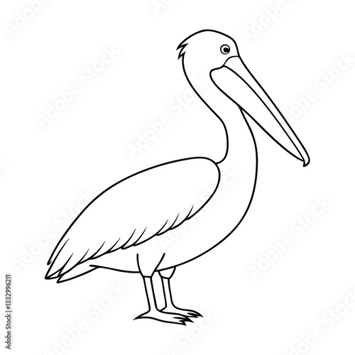 a black and white illustration of a pelican standing