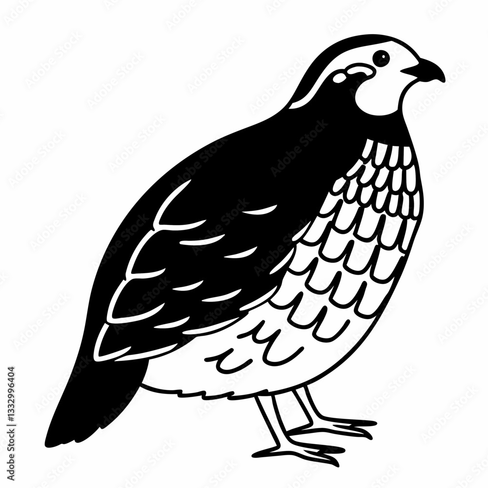 Fototapeta premium a black and white illustration of a quail, showcasing its distinctive features and elegant profile