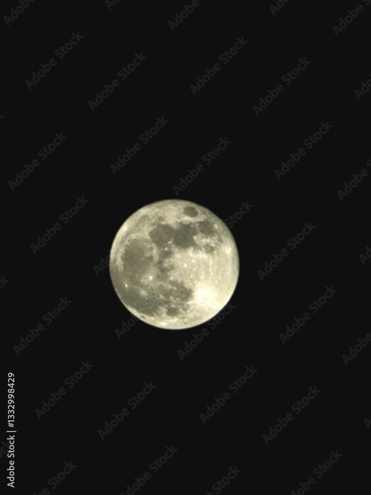 moon moon