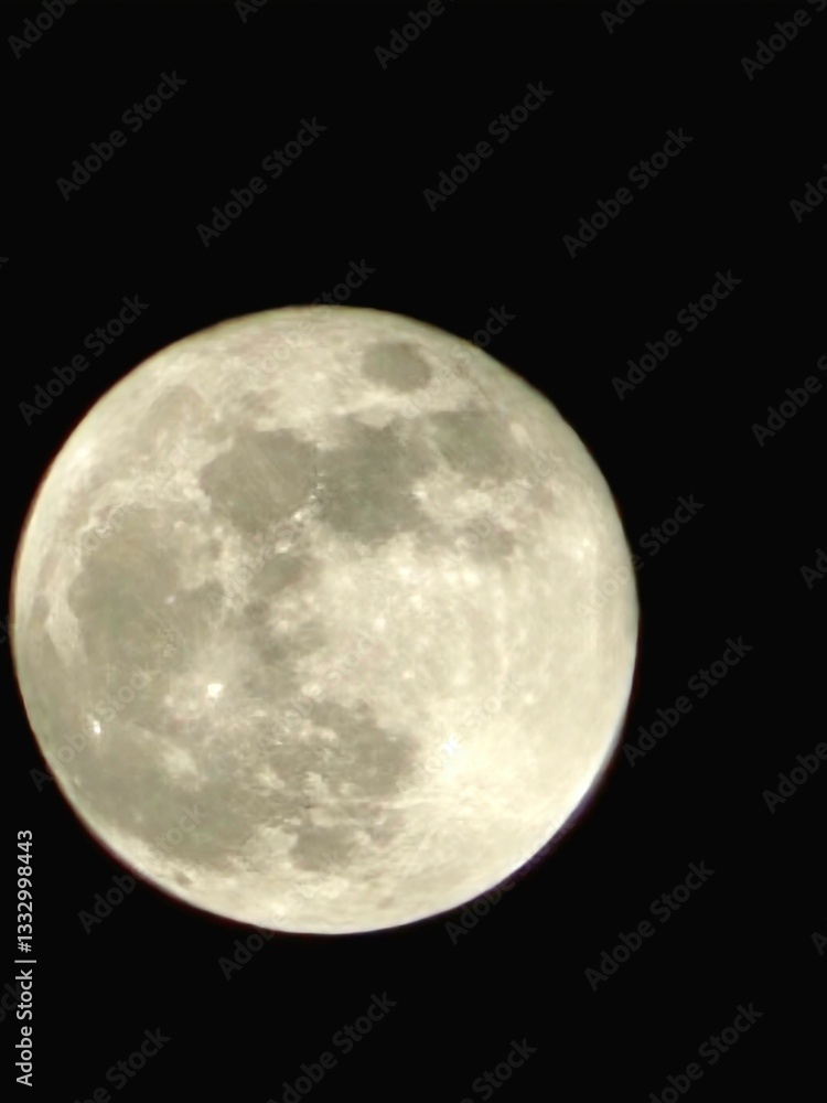 moon moon