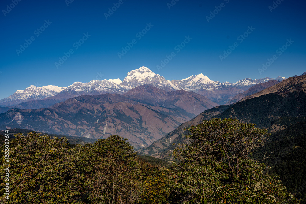 Naklejka premium Stunning View of Dhaulagiri Mountain from Poon Hill, Nepal
