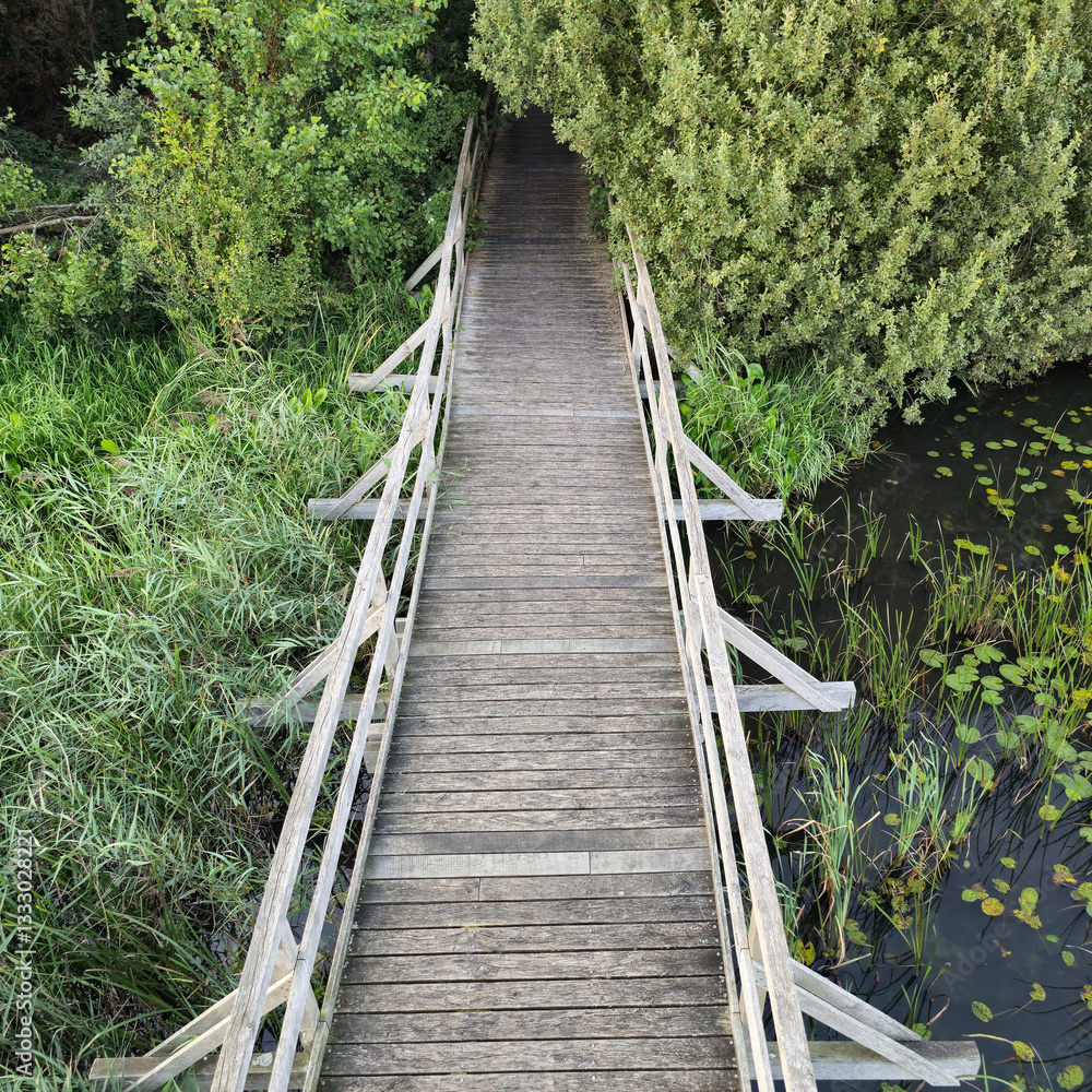 Obraz premium A Beautiful and Scenic Wooden Bridge is Nestled Amidst Lush and Vibrant Greenery All Around Steinhuder Meer