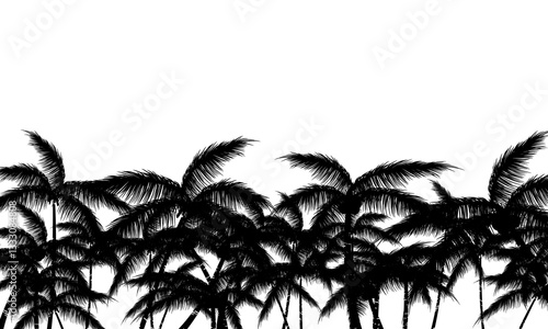 Black palm tree silhouette on white background. summer palm tree.
